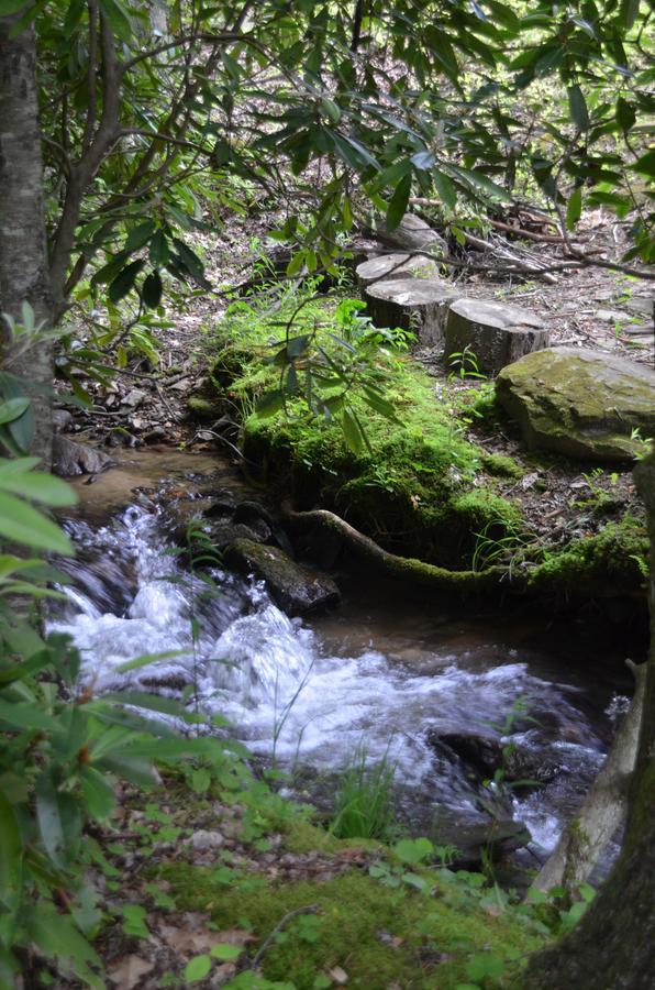 Panther Creek Cabins Cherokee Esterno foto