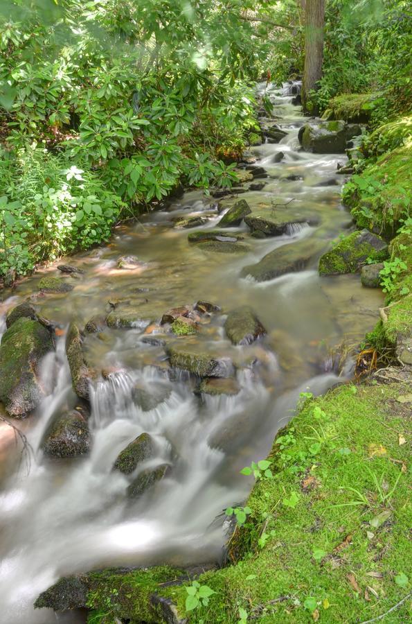 Panther Creek Cabins Cherokee Esterno foto